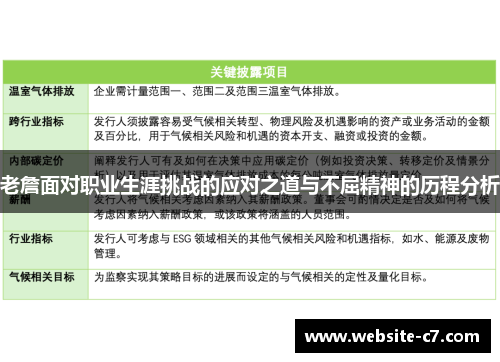 老詹面对职业生涯挑战的应对之道与不屈精神的历程分析 老詹面对职业生涯挑战的应对之道与不屈精神的历程分析