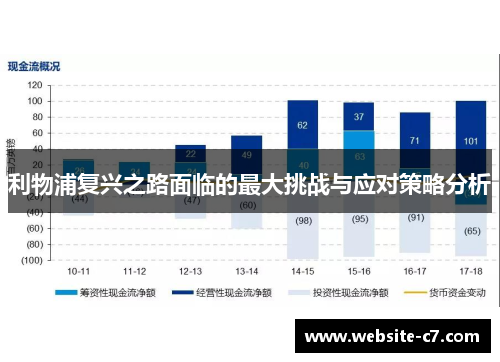 利物浦复兴之路面临的最大挑战与应对策略分析