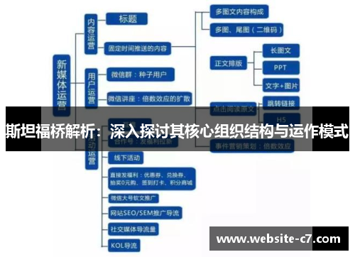 斯坦福桥解析:深入探讨其核心组织结构与运作模式 斯坦福桥解析:深入探讨其核心组织结构与运作模式