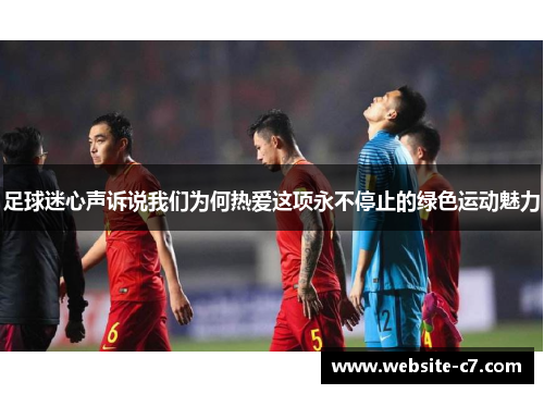 足球迷心声诉说我们为何热爱这项永不停止的绿色运动魅力