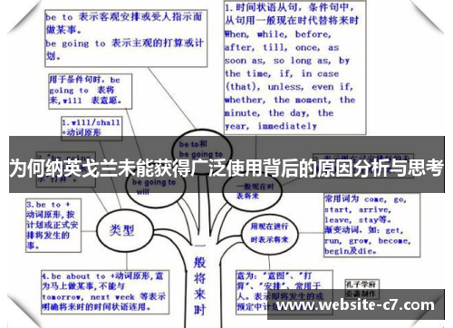 为何纳英戈兰未能获得广泛使用背后的原因分析与思考