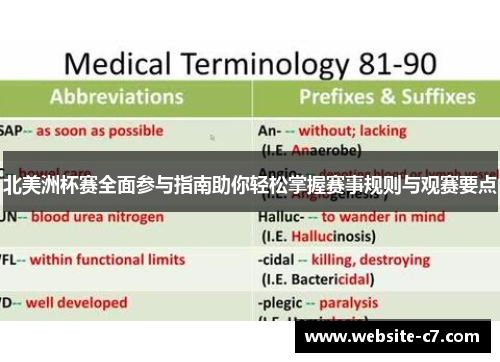 北美洲杯赛全面参与指南助你轻松掌握赛事规则与观赛要点
