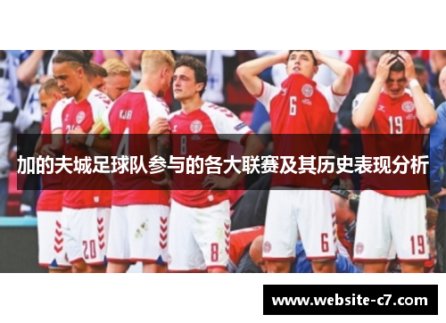 加的夫城足球队参与的各大联赛及其历史表现分析